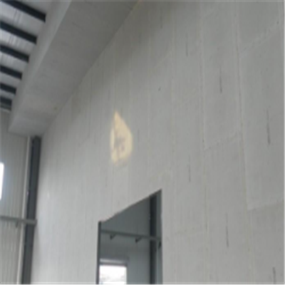 南海新型建筑材料掺多种工业废渣的ALC|ACC|FPS模块板材轻质隔墙板